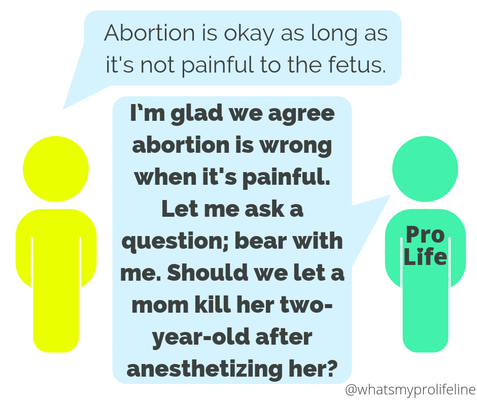 Person 1: Abortion is okay as long as it’s not painful to the fetus. Person 2 (our hero): I’m glad we agree abortion is wrong when it’s painful. Let me ask a question; bear with me. Should we let a mom kill her two-year-old after anesthetizing her?