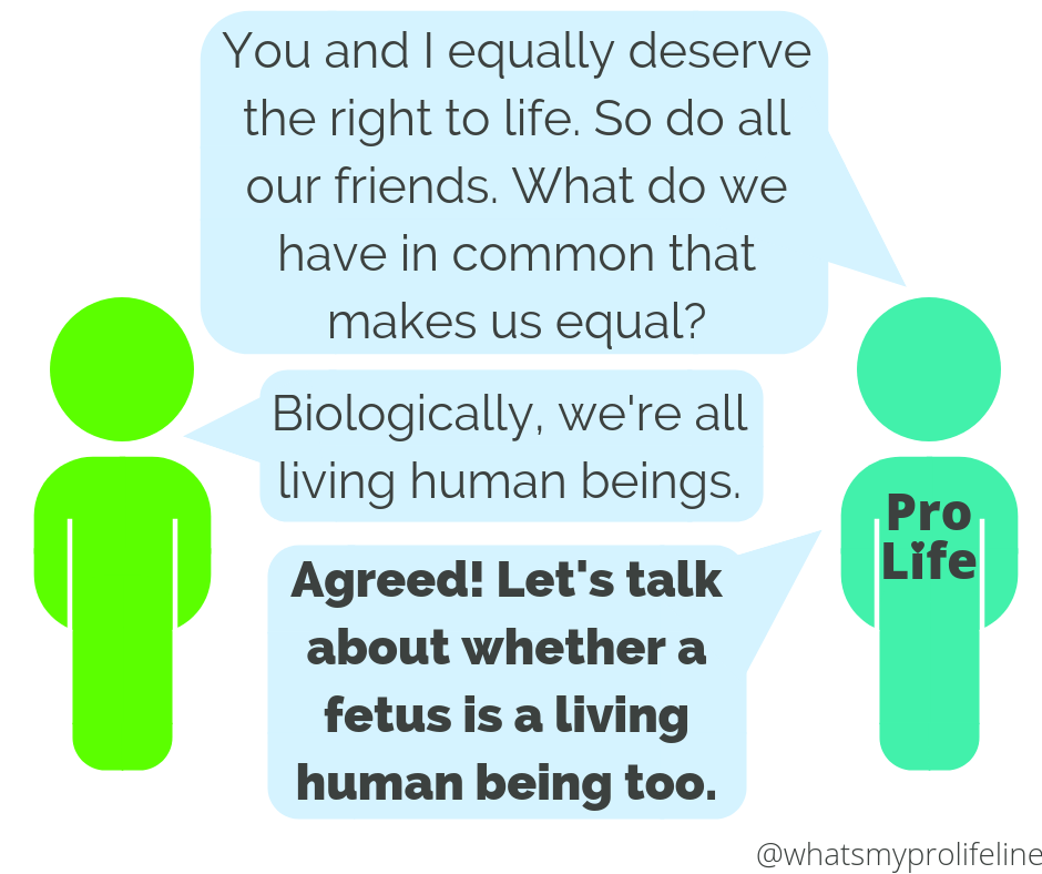 Person 1 (our hero): You and I equally deserve the right to life. So do all our friends. What do we have in common that makes us equal? Person 2: Biologically, we’re all living human beings. Person 1 (our hero): Agreed! Let’s talk about whether a fetus is a living human being too.