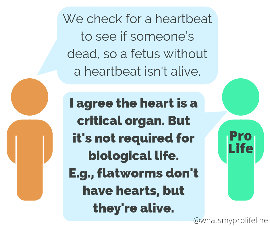 Person 1: We check for a heartbeat to see if someone’s dead, so a fetus without a heartbeat isn’t alive. Person 2 (our hero): I agree the heart is a critical organ. But it’s not required for biological life. E.g., flatworms don’t have hearts, but they’re alive.
