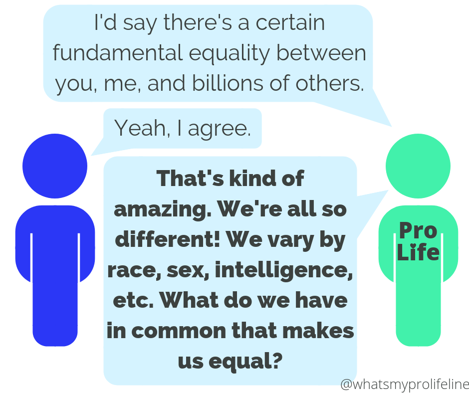 Person 1 (our hero): I’d say there’s a certain fundamental equality between you, me, and billions of others. Person 2: Yeah, I agree. Person 1 (our hero): That’s kind of amazing. We’re all so different! We vary by race, sex, intelligence, etc. What do we have in common that makes us equal?