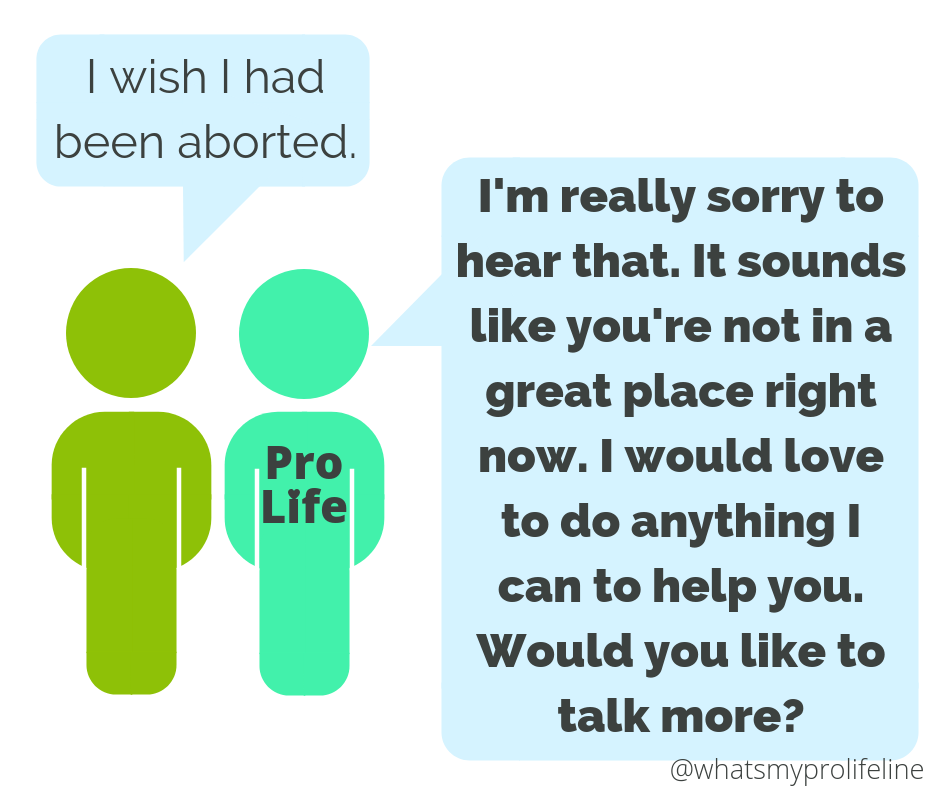 Person 1: I wish I had been aborted. Person 2 (our hero): I’m really sorry to hear that. It sounds like you’re not in a great place right now. I would love to do anything I can to help you. Would you like to talk more?