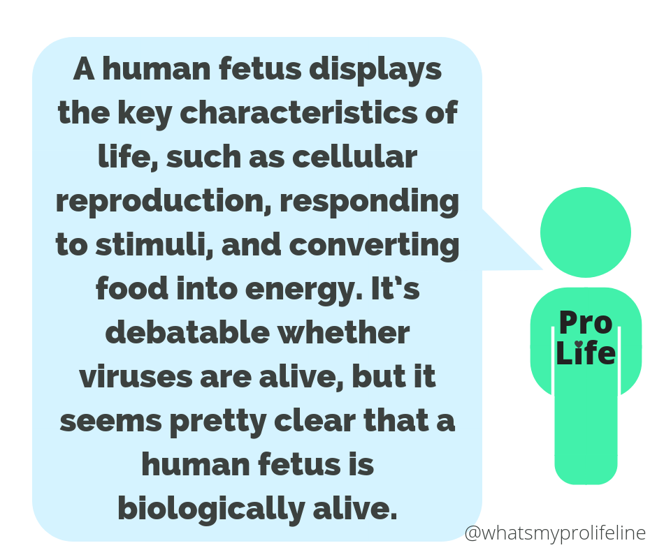 Our hero: A human fetus displays the key characteristics of life, such as cellular reproduction, responding to stimuli, and converting food into energy. It’s debatable whether viruses are alive, but it seems pretty clear that a human fetus is biologically alive.