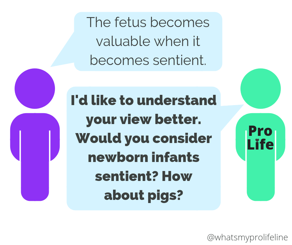 Person 1: The fetus becomes valuable when it becomes sentient. Person 2 (our hero): I’d like to understand your view better. Would you consider newborn infants sentient? How about pigs?