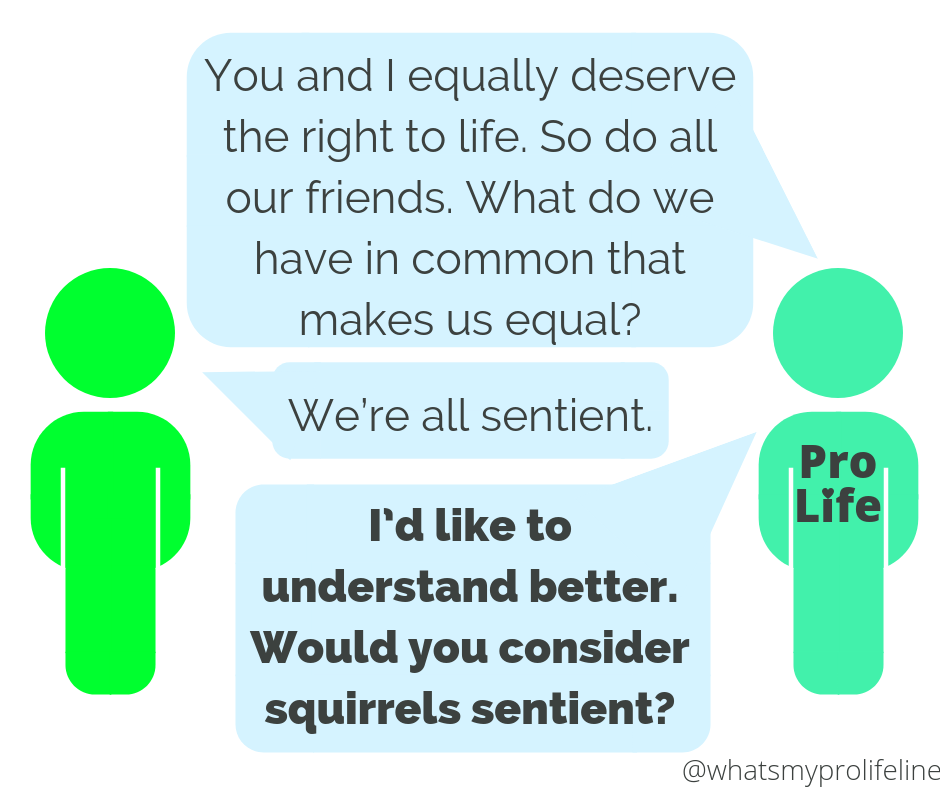 Person 1 (our hero): You and I equally deserve the right to life. So do all our friends. What do we have in common that makes us equal? Person 2: We’re all sentient. Person 1 (our hero): I’d like to understand better. Would you consider squirrels sentient?
