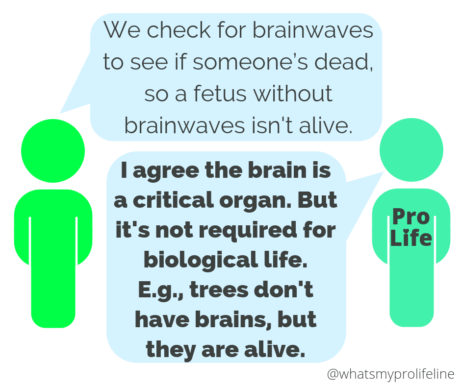 Person 1: We check for brainwaves to see if someone’s dead, so a fetus without brainwaves isn’t alive. Person 2 (our hero): I agree the brain is a critical organ. But it’s not required for biological life. E.g., trees don’t have brains, but they are alive.