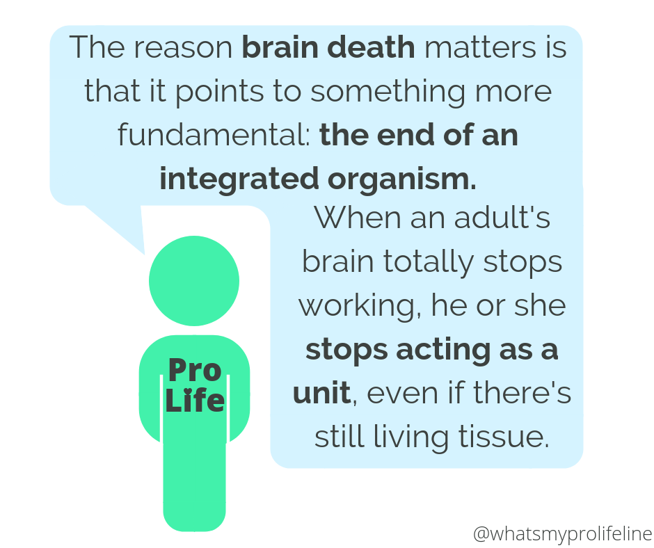 Our hero: The reason brain death matters is that it points to something more fundamental: the end of an integrated organism. When an adult’s brain totally stops working, he or she stops acting as a unit, even if there’s still living tissue.