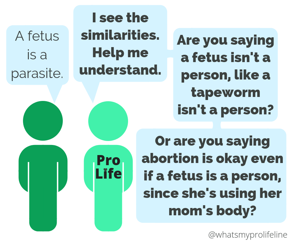Person 1: A fetus is a parasite. Person 2 (our hero): I see the similarities. Help me understand. Are you saying a fetus isn’t a person, like a tapeworm isn’t a person? Or are you saying abortion is okay even if a fetus is a person, since she’s using her mom’s body?