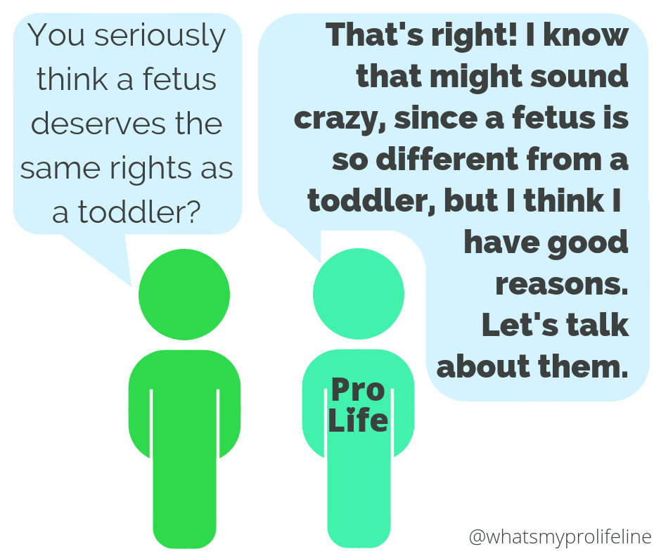Person 1: You seriously think a fetus deserves the same rights as a toddler? Person 2 (our hero): That’s right! I know that might sound crazy, since a fetus is so different from a toddler, but I think I have good reasons. Let’s talk about them.