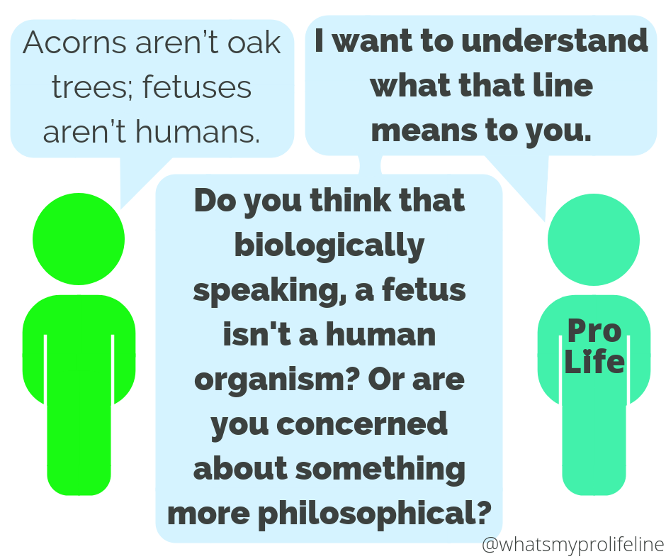 Person 1: Acorns aren’t oak trees; fetuses aren’t humans. Person 2 (our hero): I want to understand what that line means to you. Do you think that biologically speaking, a fetus isn’t a human organism? Or are you concerned about something more philosophical?