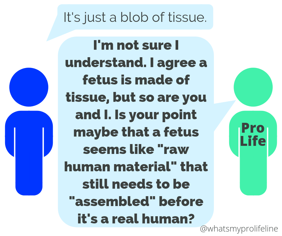 Person 1: It’s just a blob of tissue. Person 2 (our hero): I’m not sure I understand. I agree a fetus is made of tissue, but so are you and I. Is your point maybe that a fetus seems like “raw human material” that still needs to be “assembled” before it’s a real human?