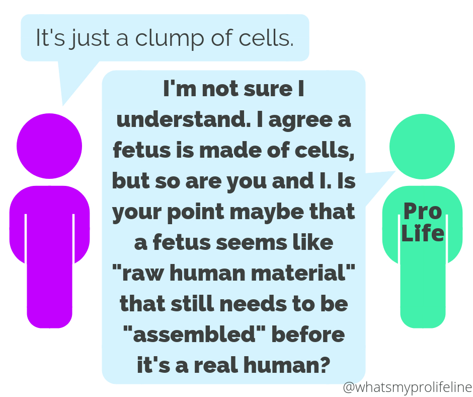 Person 1: It’s just a clump of cells. Person 2 (our hero): I’m not sure I understand. I agree a fetus is made of cells, but so are you and I. Is your point maybe that a fetus seems like “raw human material” that still needs to be “assembled” before it’s a real human?