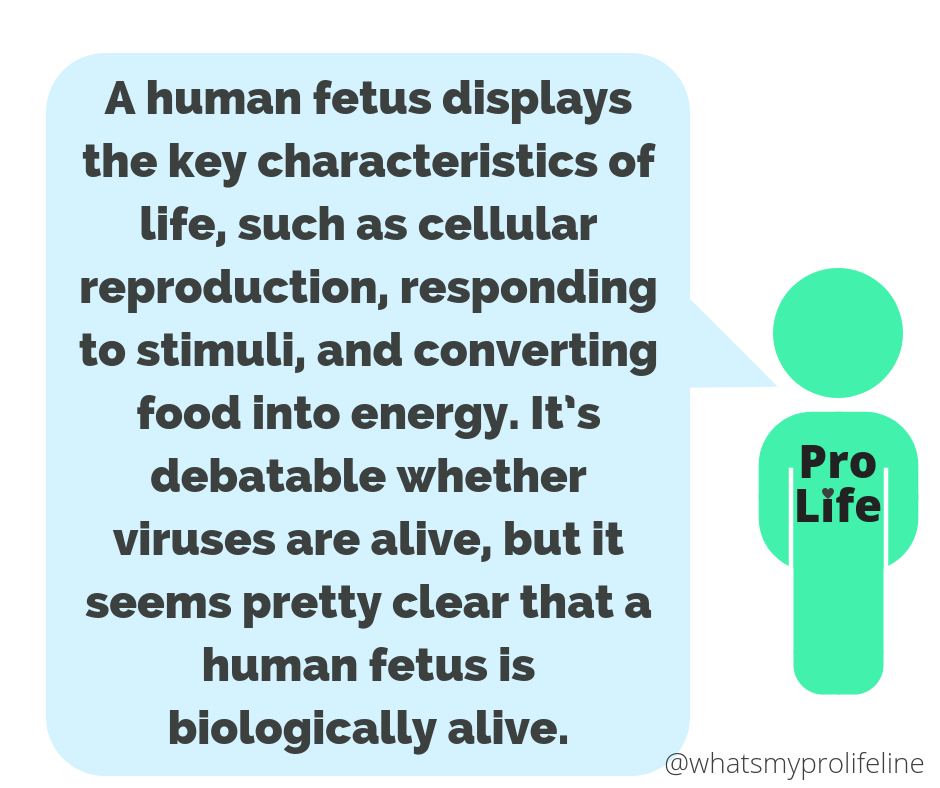 Key Characteristics Of Life What S My Pro Life Line