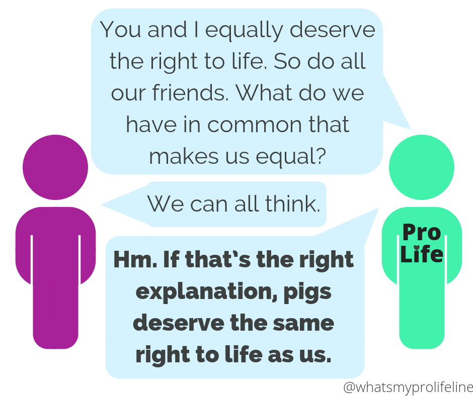 Person 1 (our hero): You and I equally deserve the right to life. So do all our friends. What do we have in common that makes us equal? Person 2: We can all think. Person 1 (our hero): Hm. If that’s the right explanation, pigs deserve the same right to life as us.