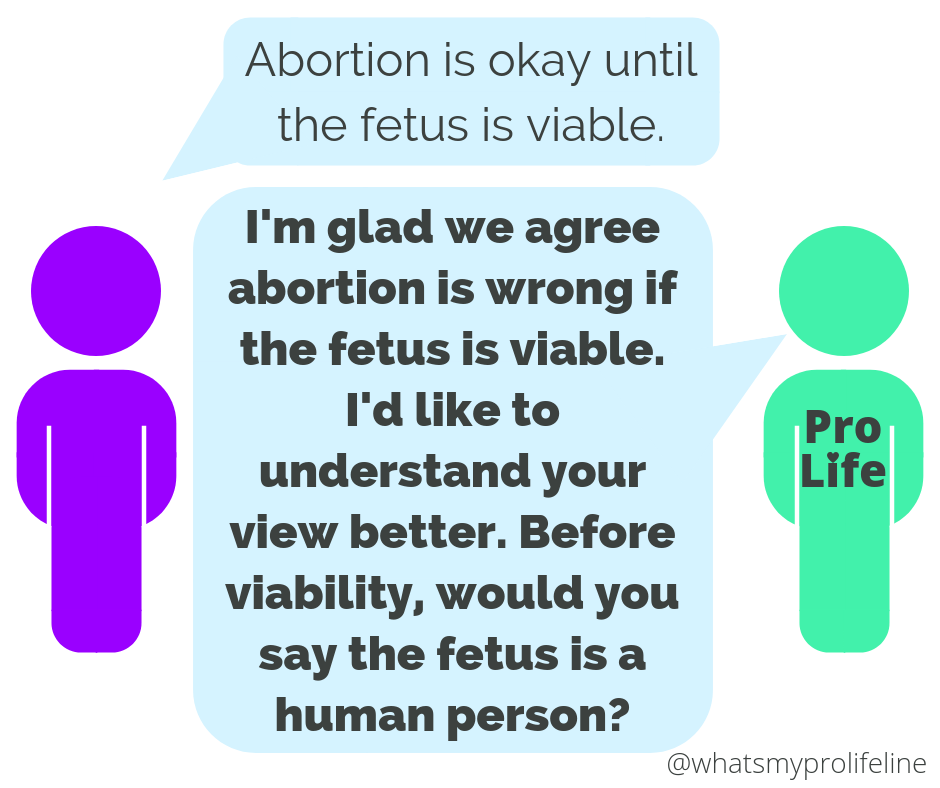 Person 1: Abortion is okay until the fetus is viable. Person 2 (our hero): I’m glad we agree abortion is wrong if the fetus is viable. I’d like to understand your view better. Before viability, would you say the fetus is a human person?