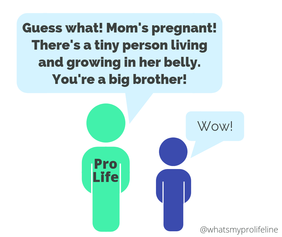 Person 1 (our hero): Guess what! Mom’s pregnant! There’s a tiny person living and growing in her belly. You’re a big brother! Person 2: Wow!